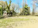 Somogy megye - Balatonszárszó