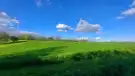 Somogy megye - Balatonendréd