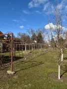 Somogy megye - Balatonszárszó