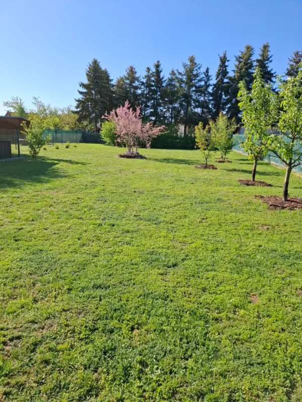 Eladó Építési telek, Ságvár 952 m² 17.42 M Ft