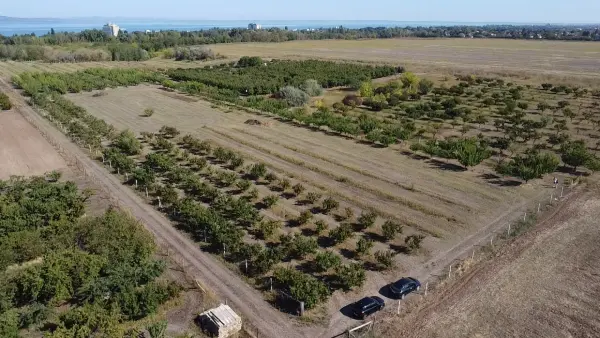 Eladó Gyümölcsös, Siófok 5617 m² 8.9 M Ft