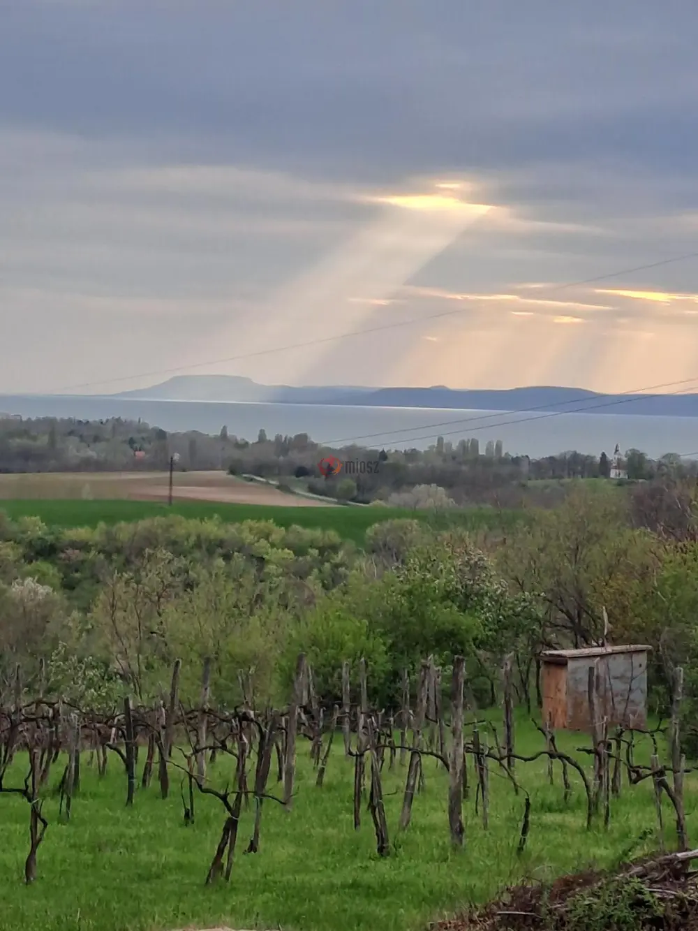 Somogy megye - Zamárdi