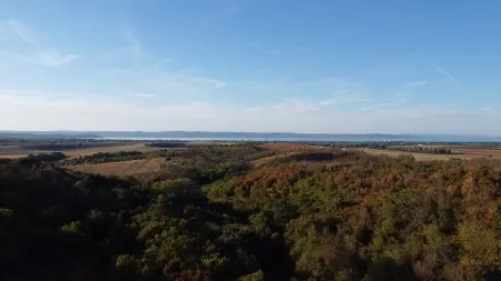 Eladó telek, Balatonendréd 8907 m² 9.8 M Ft