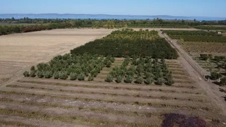 Eladó telek, Siófok 6000 m² 8.9 M Ft