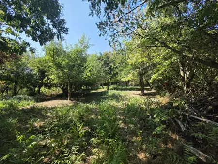 Eladó telek, Teleki 3733 m² 10.9 M Ft